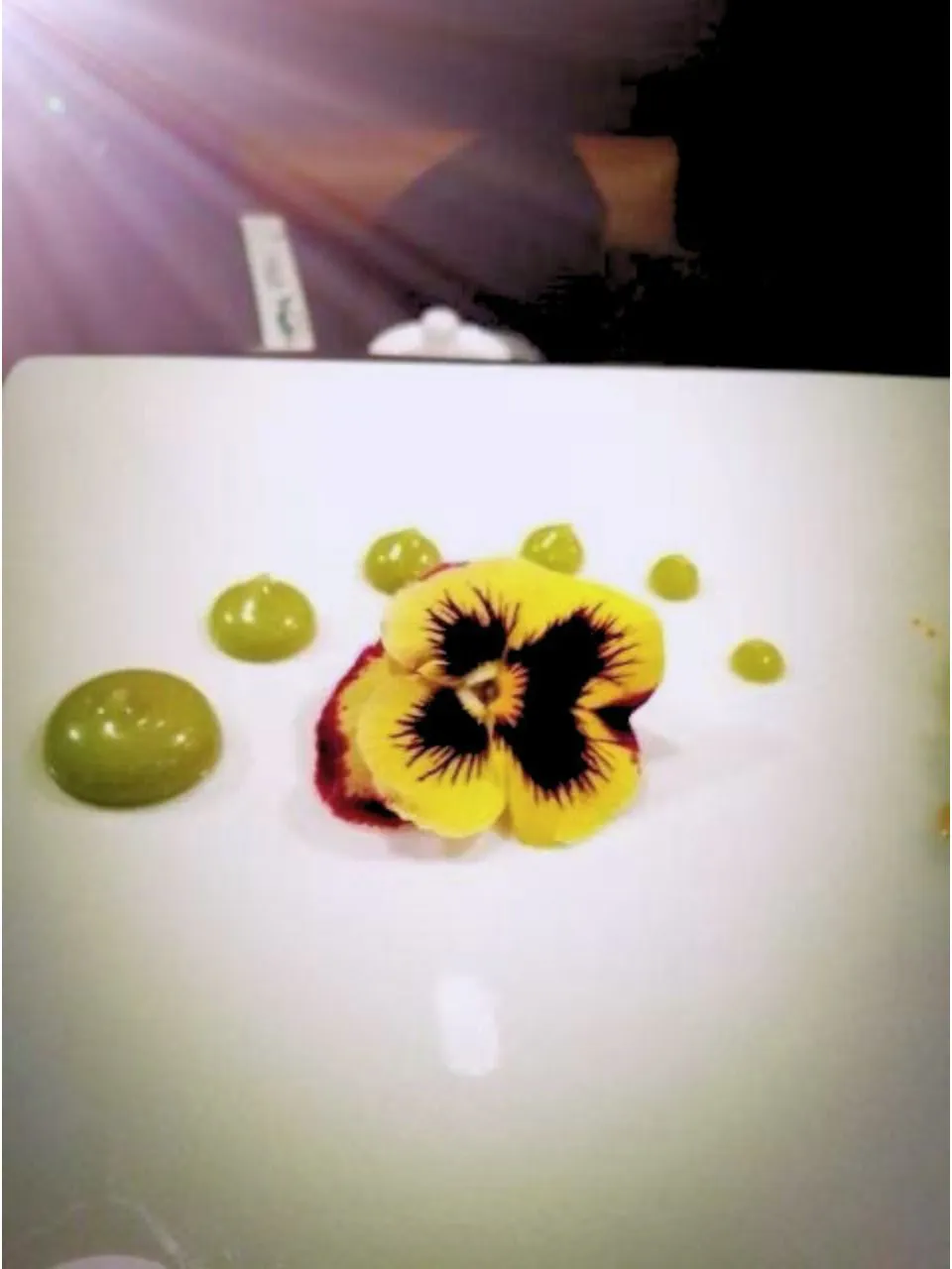 Dessert plate with yellow pansy and green sauce at Kumo Japanese Cuisine Restaurant in Depew